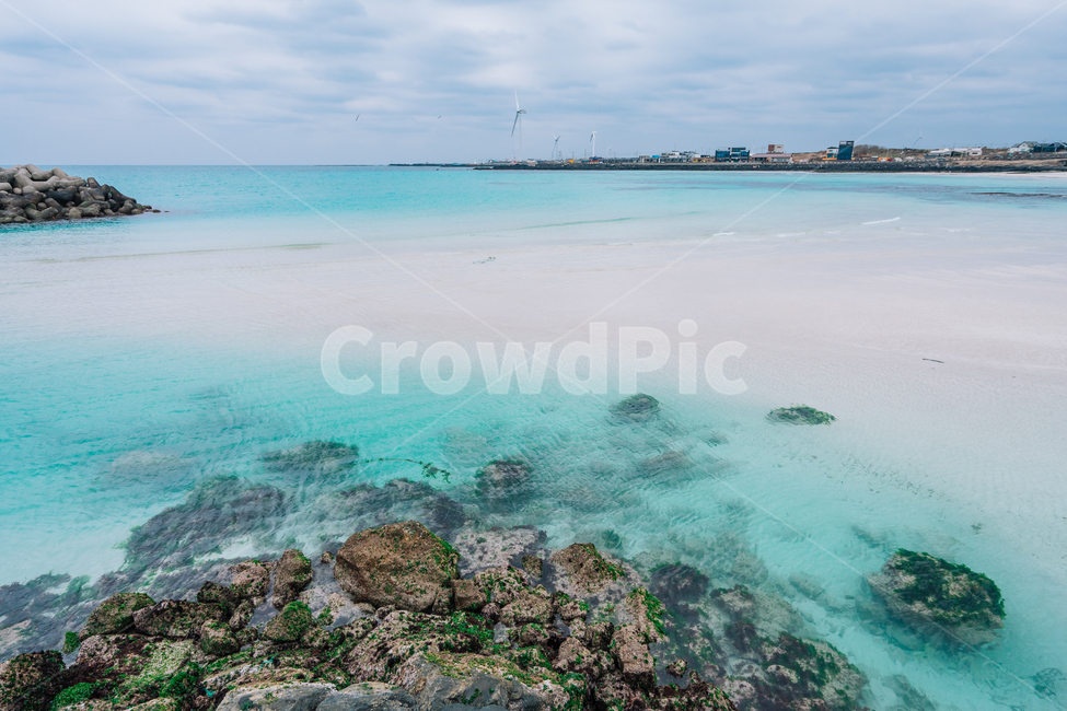 제주도,바다제주바다,자연,풍경,겨울바다,해변,파도,sea,jeju,korea,landscape,nature,자연,풍경,nature,landscape,한국자연풍경,한국자연경관,korea nature landscape,해변,바다,beach,sea,제주도,jeju,jeju island,outdoors,옥외,ocean,대양,water,물,land,땅,shoreline,해안선