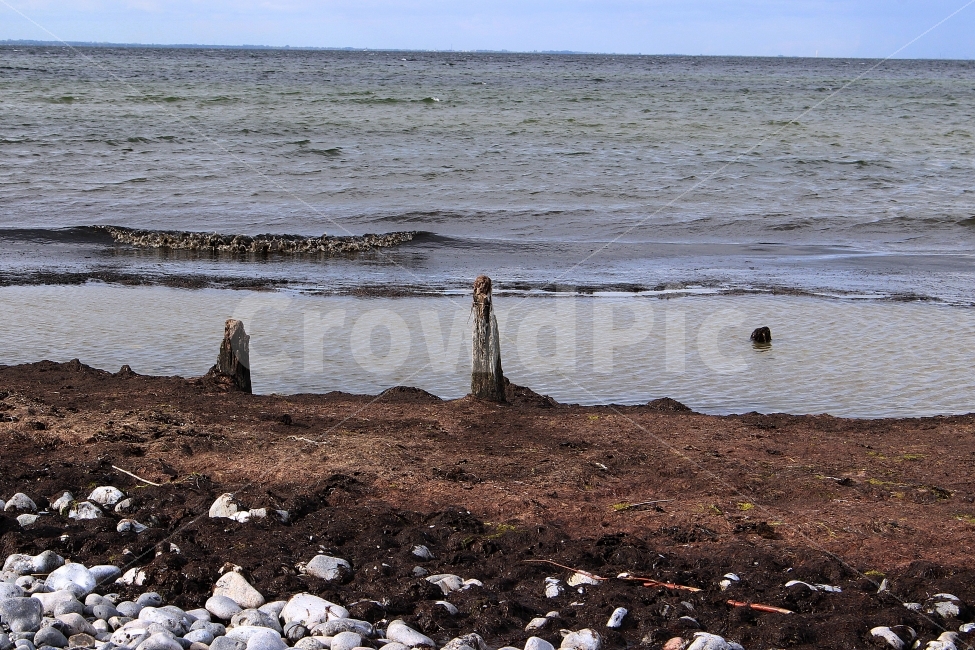 바다,파도,나무,해변,외로움,고독,자갈,물,물결,자연,풍경,nature,landscape,해변,바다,beach,sea,ground,바닥,rubble,파편