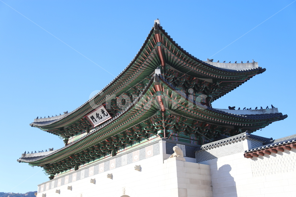 한국,전통,건물,광화문,해태,하늘,한국전통,한국문화,korean traditional,korean culture,랜드마크,landmark,tourist attraction,한국랜드마크,한국관광지,한국명소,korea landmark,korea tourist attraction