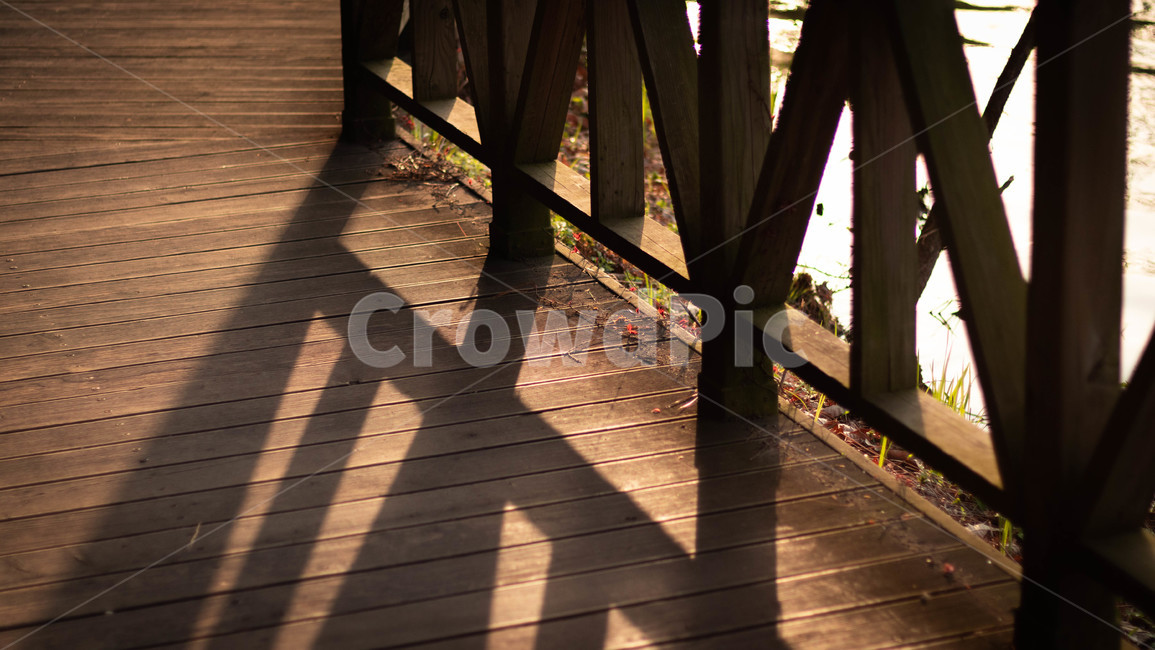 wood,나무,난간,빛,그림자