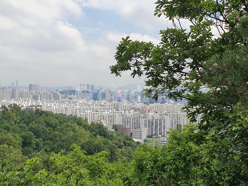 나무,풍경,자연,nature,하늘,시내,도시,구름,산정상,정상,전경