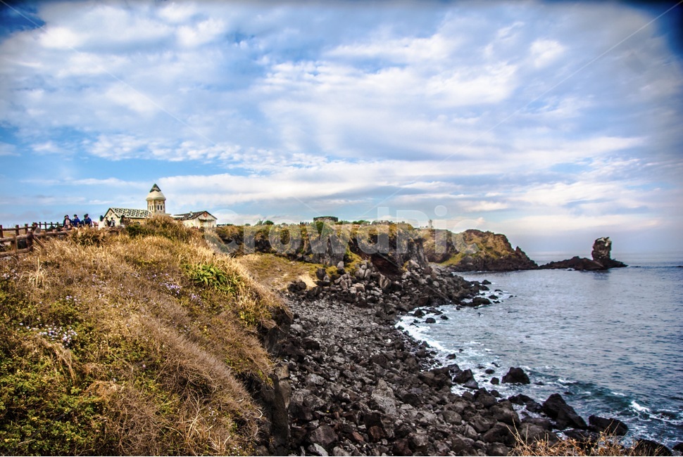 제주도,섭지코지,가을,풍경,바다,자연,풍경,nature,landscape,한국자연풍경,한국자연경관,korea nature landscape,제주도,jeju,jeju island,promontory,곶,road,도로