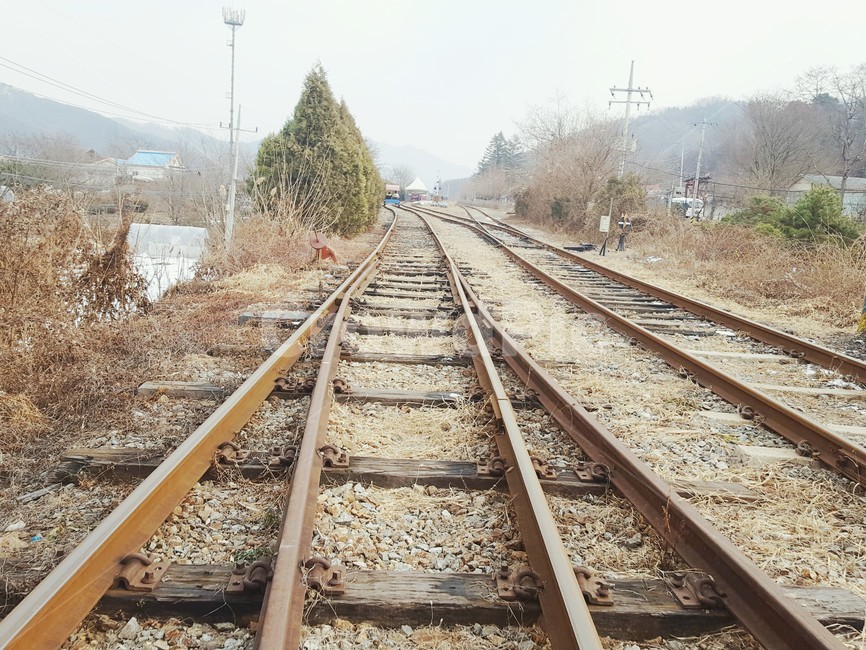 철길,철도,레일,레일바이크,기찻길,나무,돌,풍경,railbike,railroad,railroadtrack,rail,tree