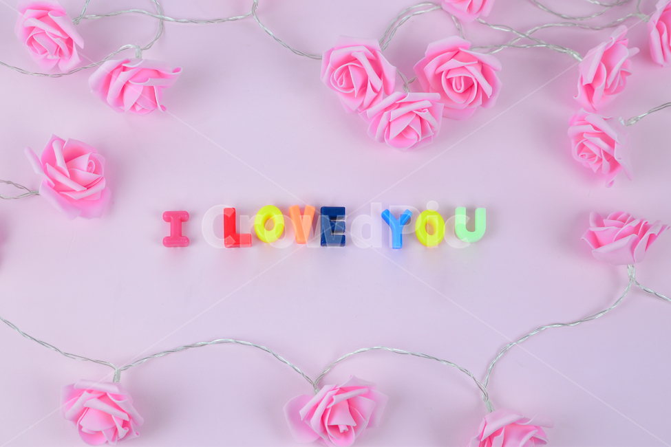 사랑,장미,문구,love,고백,핑크,rose,pinkrose,감정표현,기분,feeling,emotion