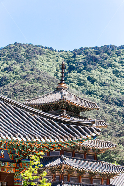 고찰,법주사,기와,문양,패턴,건축,전통,한국전통,한국문화,korean traditional,korean culture,종교,신앙,religion,belief,faith,건축물,건물외관,exterior,building,structure,architecture,construction