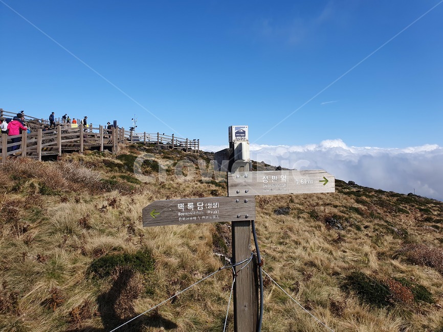 제주,제주도,jeju,한라산,산,하늘,맑은하늘,파란하늘,백록담