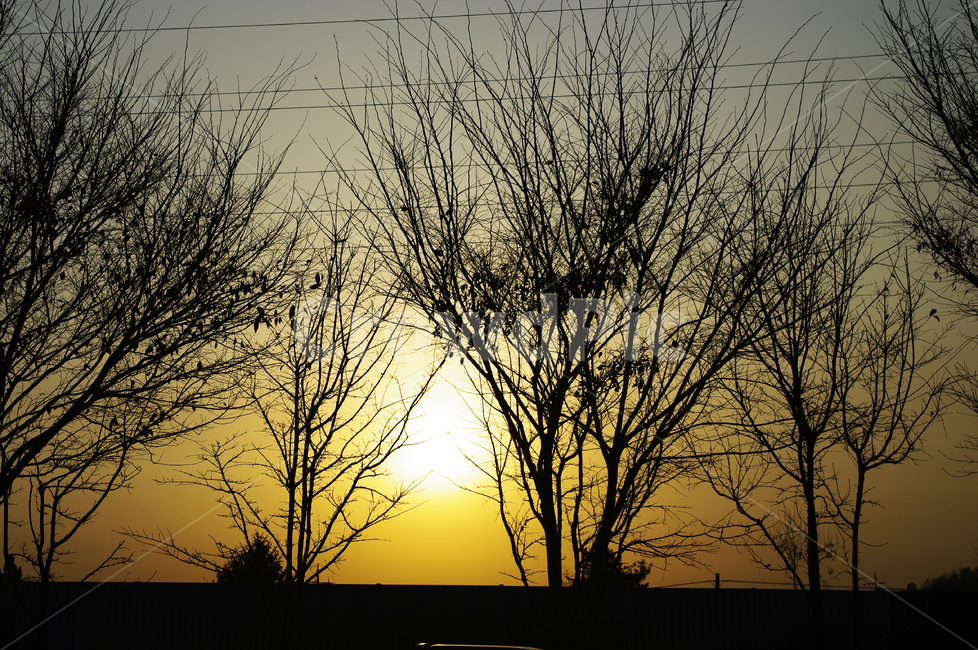 하늘,노을,나무,그림자,sunset,식물,자연,plants,nature,나무,trees,wood,실루엣,그림자,silhouette,shadow