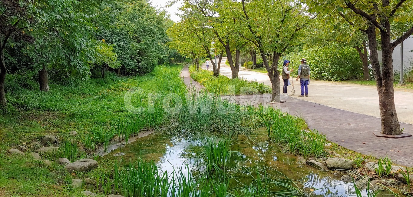 land,나라,outdoors,옥외,nature,자연,human,인간,person,사람,water,물