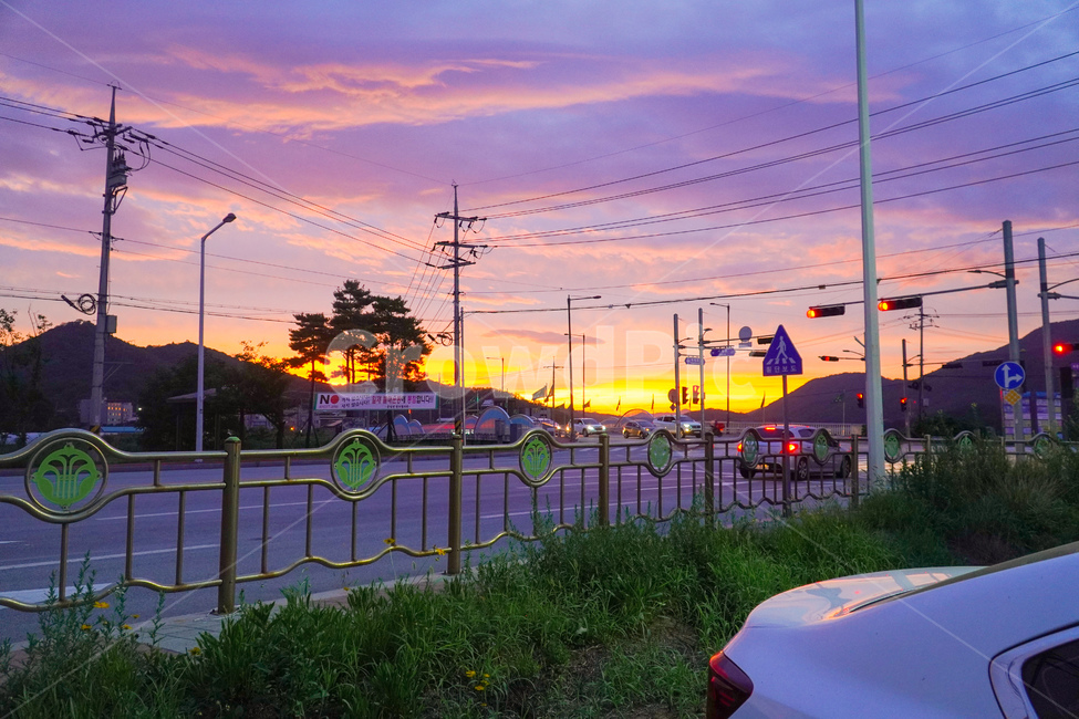 노을,자동차,신호등,표지판,car
