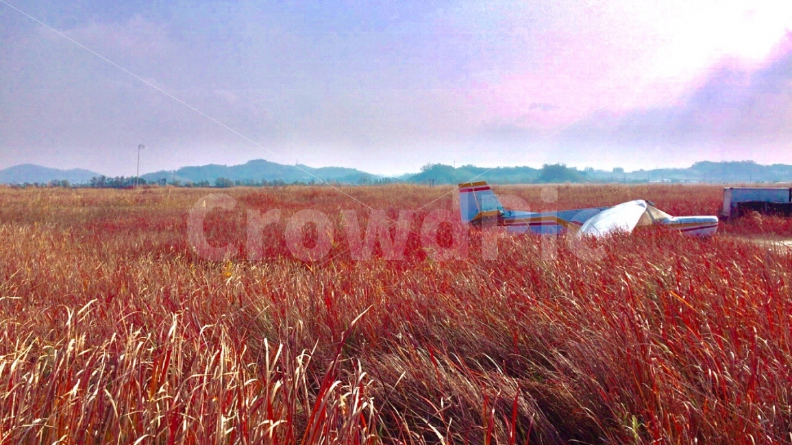 어섬,비행장,어섬비행장,버려진,비행기,가을,갈대,여행,가을,계절,fall,autumn,season,자연,풍경,nature,landscape,교통,교통수단,traffic,transportation