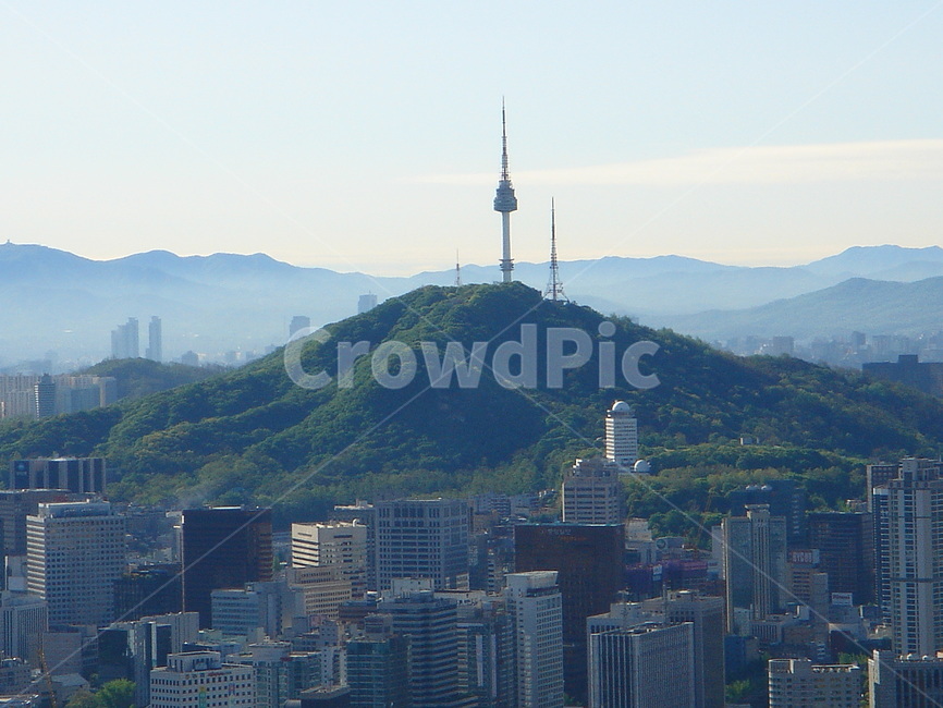 도시,전경,남산,도심,하늘