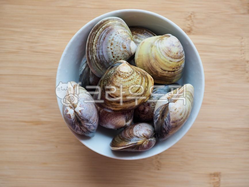 백합조개,조개,생조개,어패류,음식재료,요리재료,해물,음식,웰빙,웰빙음식,조개껍질,배경,lilyclam,clam,rawclam,foodingredients,cookingingredients,seafood,food,wellbeing,wellbeingfood,clamshell,background,음식,식재료,요리,food,cook,meal,dishes,food reserves