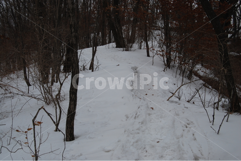 등산,계방산,힐링,자연,겨울,겨울산행,감성,풍경,계절,겨울이미지,겨울,계절,winter,season,자연,풍경,nature,landscape,한국자연풍경,한국자연경관,korea nature landscape,plant,식물,tree,나무