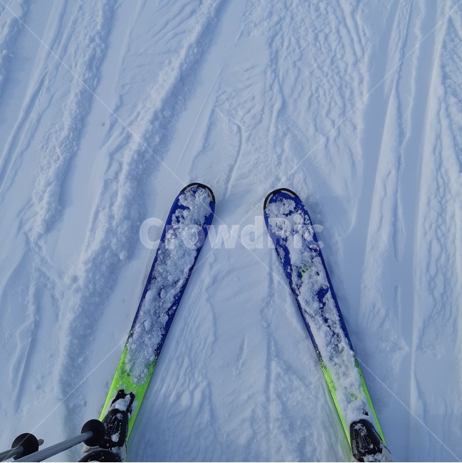 스키,눈,겨울,스키장,썰매,사람,겨울,계절,winter,season,스포츠,레저,운동,sports,leisure,exercise