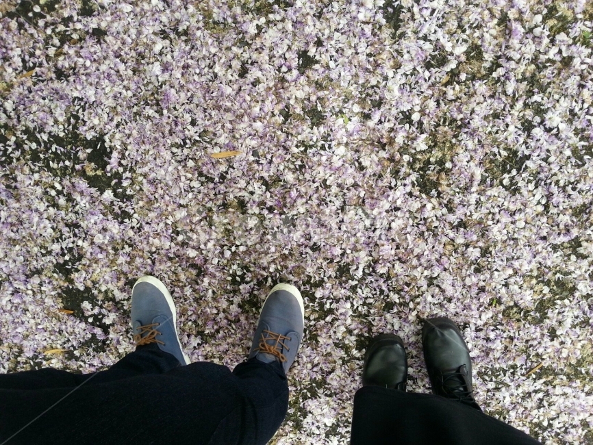 연인,남자친구,여자친구,벚꽃,꽃놀이,여행,봄,계절,spring,season,사람,인물,인간,human,person,연인,커플,사랑,lover,couple