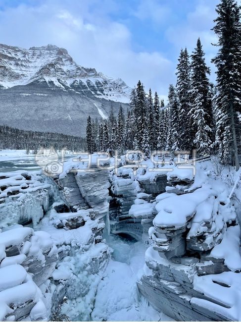 겨울,크리스마스,풍경,캐나다,배경,나무,눈,산,얼음,자연,빙하,폭포,jasper,banff,전나무,tree,ice,mountain,nature,outdoors,glacier