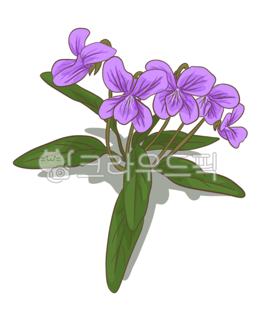 제비꽃,꽃,팬지,비올라,식물,풀,잡초,자연,배경,잎,보라색,일러스트,그림,봄,꽃송이,꽃다발