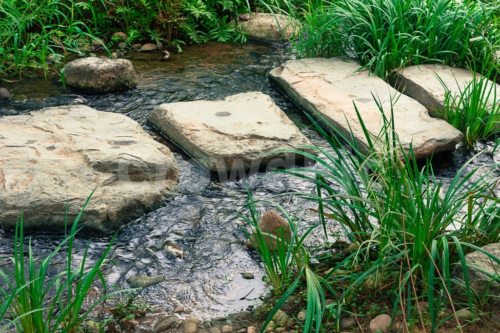 돌다리,돌,다리,물,자연,생태,자연,풍경,nature,landscape,outdoors,옥외,water,flagstone,판석