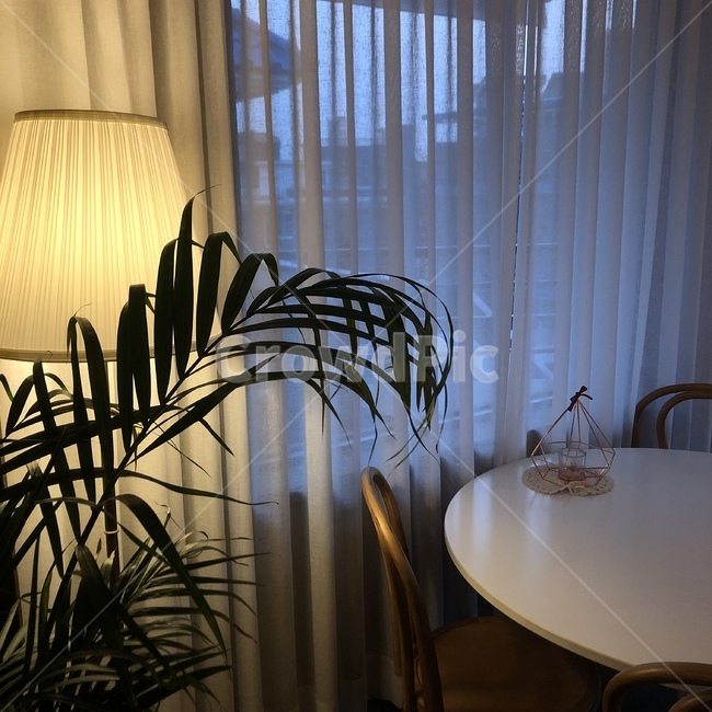 카페,조명,분위기있는장소,은은한조명,난초,인테리어,실내디자인,interior design
