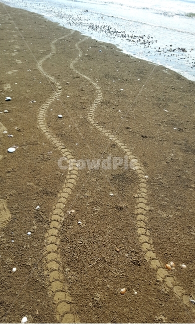 바다,해변,beach,흙길,자갈,soil,타이어자국,모래,sand