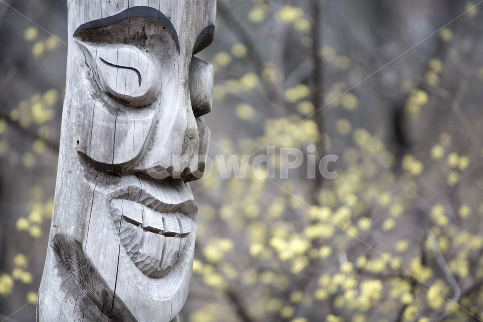 산수유,봄,장승,목공예,감성,지킴이,봄,계절,spring,season,한국전통,한국문화,korean traditional,korean culture,조각상,동상,석상,조형물,statue,bronze statue,stone statue,종교,신앙,religion,belief,faith,architecture,건축물,building,건물,emblem,상징