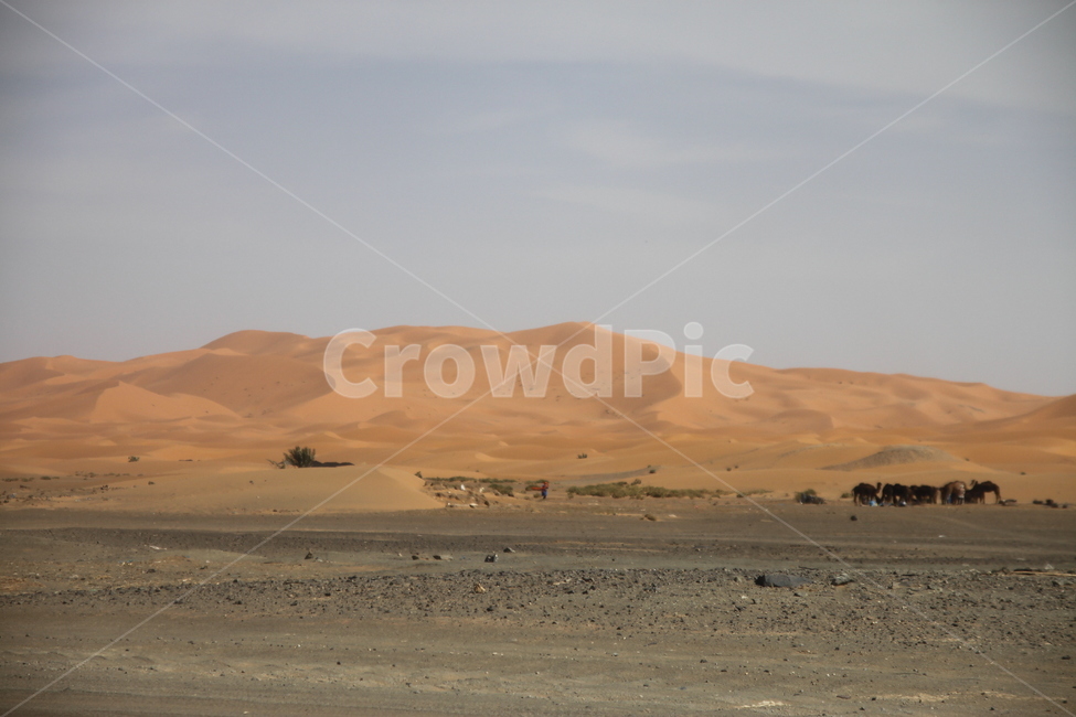 landscape photography,Africa,dry,sand,Morocco travel,sahara,natural scenery,Morocco,sight,sahara desert,desert,desert landscape