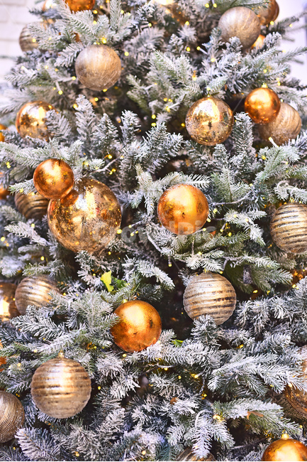 크리스마스,크리스마스트리,츄리,성탄절,xmas,tree,나무,plant,식물,christmas,년말장식,장식물,데코레이션,decoration,성탄볼,ball,크리스마스볼,christmasball,background,백그라운드,배경,바탕,분위기,성탄분위기,성탄배경,계절,시즌,season,금색,은색,동색,silver,golden,황금색,메리크리스마스,성탄절,merry christmas