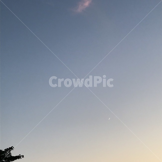 색감,책표지,감성사진,자연,힐링,휴식,책,달,하늘,나무,어둠,맑음,배경,느낌,사진,여름,summer,sensitive,film,moon,sky,tree,darkness,clear,feeling,picture