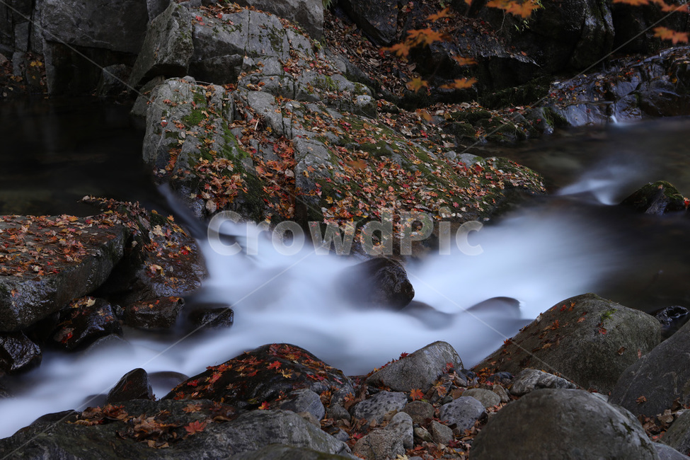 폭포,경치,자연,물,단풍,가을,계절,fall,autumn,season,자연,풍경,nature,landscape,식물,plants,water,outdoors,옥외