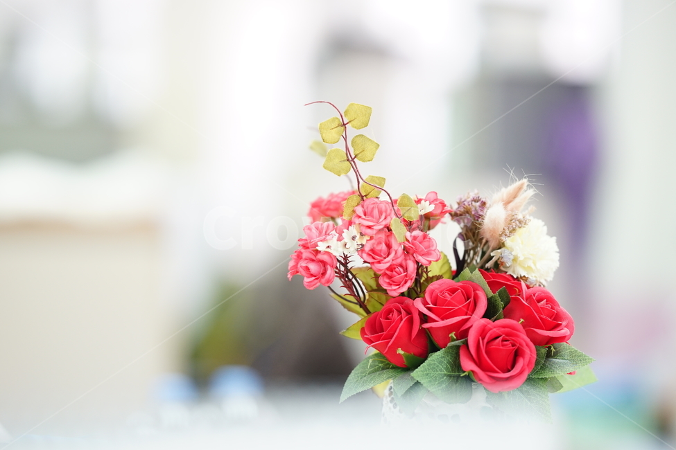 장미,로즈,꽃,플라워,화분,장식,red,레드,빨강,컬러,식물,식물,자연,plants,nature,꽃,flower,실내용화초,화분,화초,house plant,인테리어,실내디자인,interior design