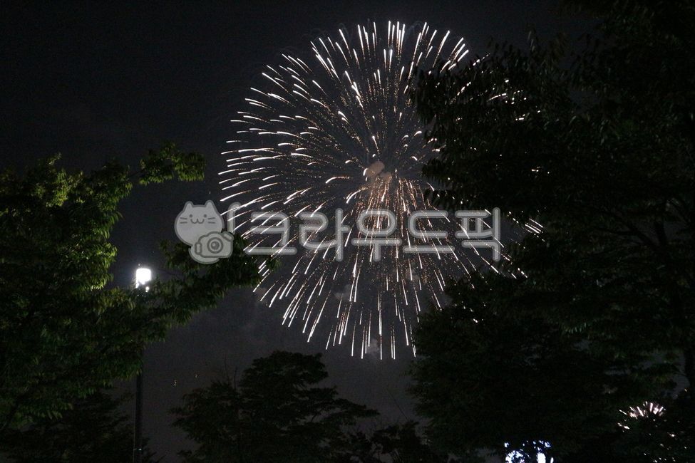 night view,night scenery,fireworksfestival,nightview,fireworks,night view attraction,night sky,fireworks festival,event,lights,shooting star,star,nature,festival,night,night street,starlight,gunpowder,firecrackers,fireworks attraction,celebration,outdoors