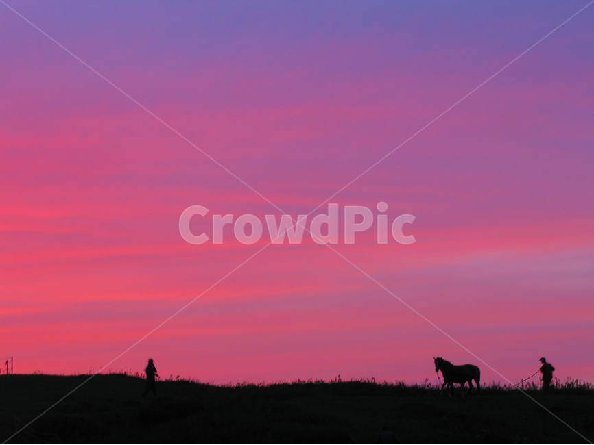 일몰,하늘,들판,말,붉은,sunset,sky,feild,horse,red,자연,풍경,nature,landscape,동물,animal,포유류,mammal,사람들,대중,군중,other people,crowd,실루엣,그림자,silhouette,shadow,인물실루엣,사람실루엣,character silhouette,human silhouette,색깔,색상,색채,색감,color sense,color sensitivity,feeling of color,outdoors,옥외