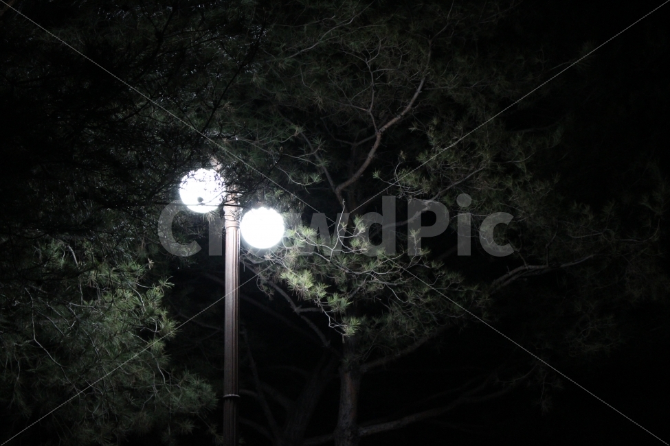 가로등,빛,자연,인공물,조명,밤,야경,어두움,밝음,야경,밤,풍경,nightscape,night,landscape,nature,outdoors,옥외