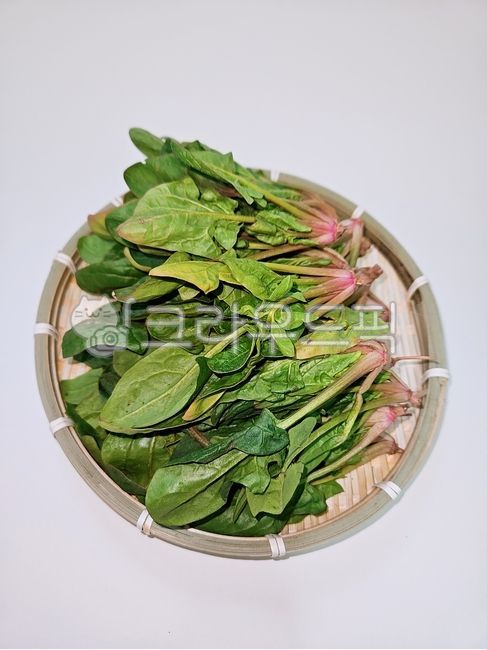 시금치,채소,식재료,food,음식