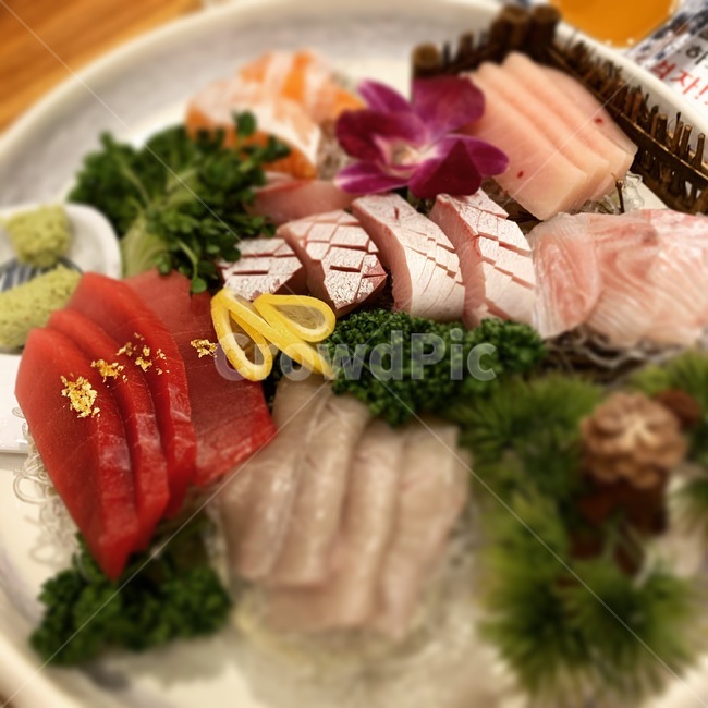 dish,요리,식사,food,음식,회,모듬회