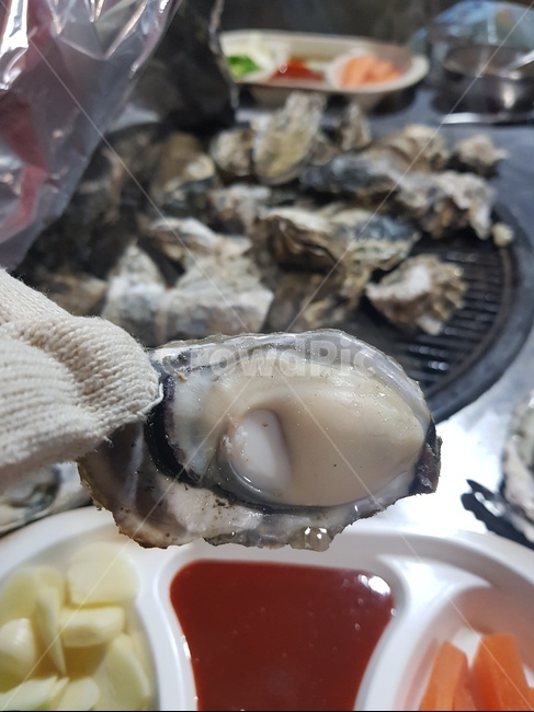굴,석화,굴구이,조개구이,석화찜,음식,제철음식,굴요리,음식,식재료,요리,food,cook,meal,dishes,food reserves,수산물,해산물,fishery products,seafood