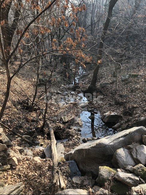 wood,나무,rubble,파편,개울,자연,nature,mountain,산,숲,숲속