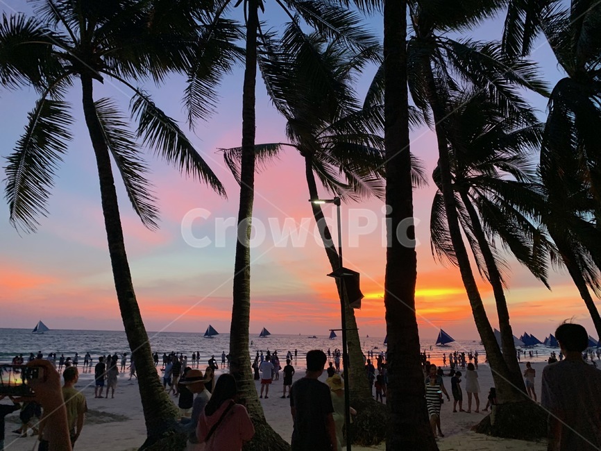 노을,황혼,구름,야자수,자연,nature,일몰,sunset,boracay,보라카이,redsky,자연,풍경,nature,landscape,해변,바다,beach,sea,사람들,대중,군중,other people,crowd
