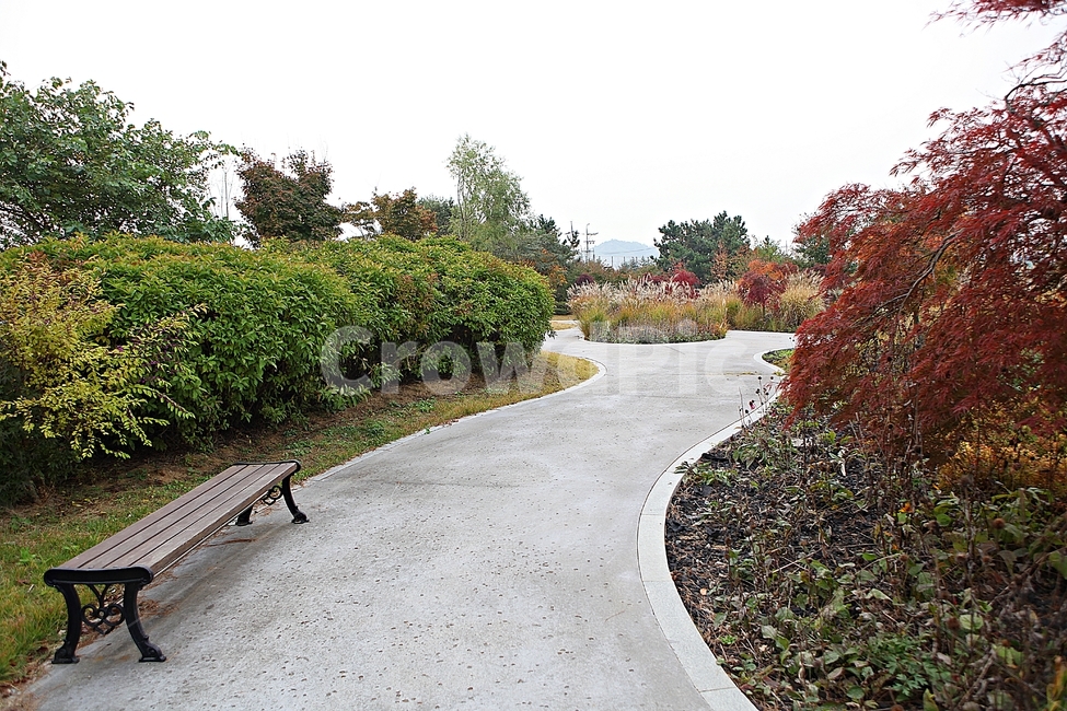 화단,길,산책로,풀,잡초,공원,나무,단풍,식물,자연,풍경,가을,계절,fall,autumn,season,자연,풍경,nature,landscape,asphalt,아스팔트,road,도로,furniture,가구,bench,벤치