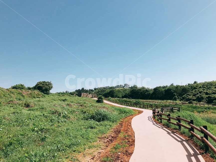 산책로,울타리,나무,하늘,초원,자연,풍경,nature,landscape,outdoors,옥외