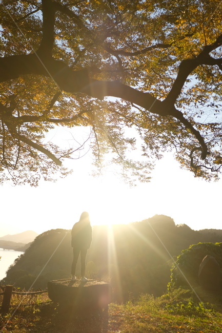 일출,단풍,빛내림,빛,여자,뒷모습,산,자연,풍경,nature,landscape,light,flare,플레어,sunlight,햇빛