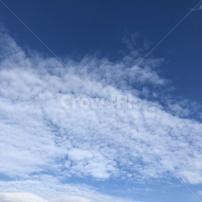 하늘,구름,흰구름,파란색,배경화면