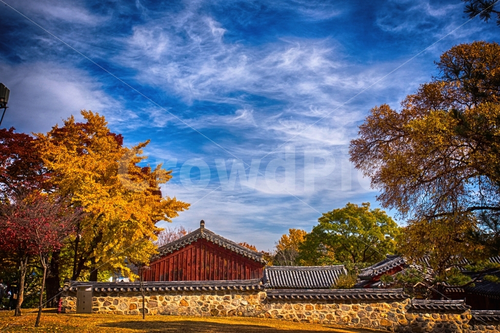 가을,은행나무,노랑노랑,HDR,진주성,감성,분위기,가을,계절,fall,autumn,season,한국전통,한국문화,korean traditional,korean culture,랜드마크,landmark,tourist attraction,한국랜드마크,한국관광지,한국명소,korea landmark,korea tourist attraction