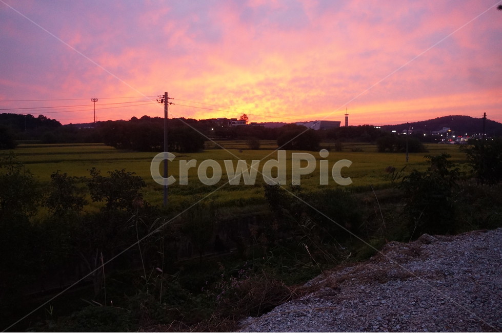 자연,nature,석양,하늘,sky,빨간색,붉은하늘,붉은노을,들판,outdoor,들,자연,풍경,nature,landscape,outdoors,옥외,road,도로