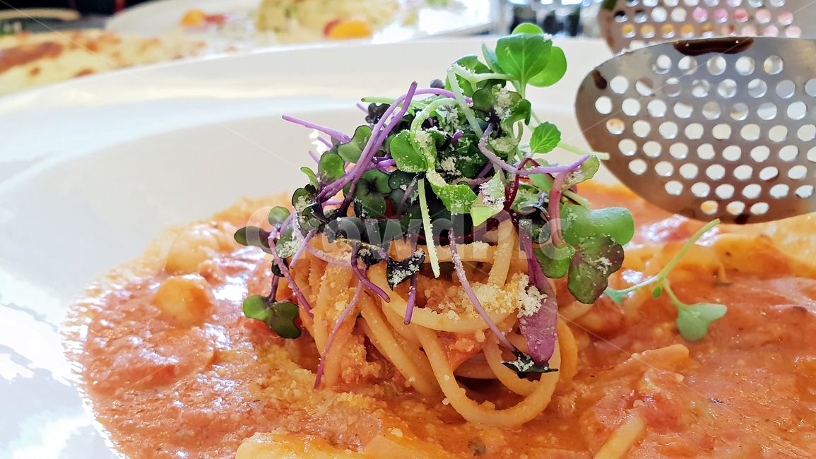 토마토,스파게티,음식,식사,정통스파게티,화이트소스,소스,딜리셔스,면발,감성,cook,food,noodle,먹거리,먹방,레스토랑,음식,식재료,요리,food,cook,meal,dishes,food reserves,면류,면요리,noodles,양식,서양음식,서양요리,western food,western dishes,western meal,western cook