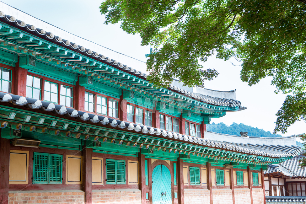 architecture,건축물,building,역사,문화,유물,유적,문화재,강화성당,성당,한옥,건축,건물,전통,유산,종교,천주교,한옥성당,강화도,강화,한옥양식,성지,전통한옥,고건물,고건축,기독교,단청,기와,배경,풍경,백그라운드,지붕,기와장,마당,서까래,처마,창문,유리창문,십자가,나무,문,벽,기둥,목조건물,담,담장,담벼락,예배,건축물,건물외관,exterior,building,structure,architecture,construction
