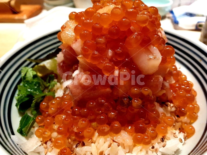 해산물덮밥,밥,일식,일본음식,해산물,참치,연어알,rice,meal,식사,dinner,저녁,카이센동,참치회덮밥,덮밥