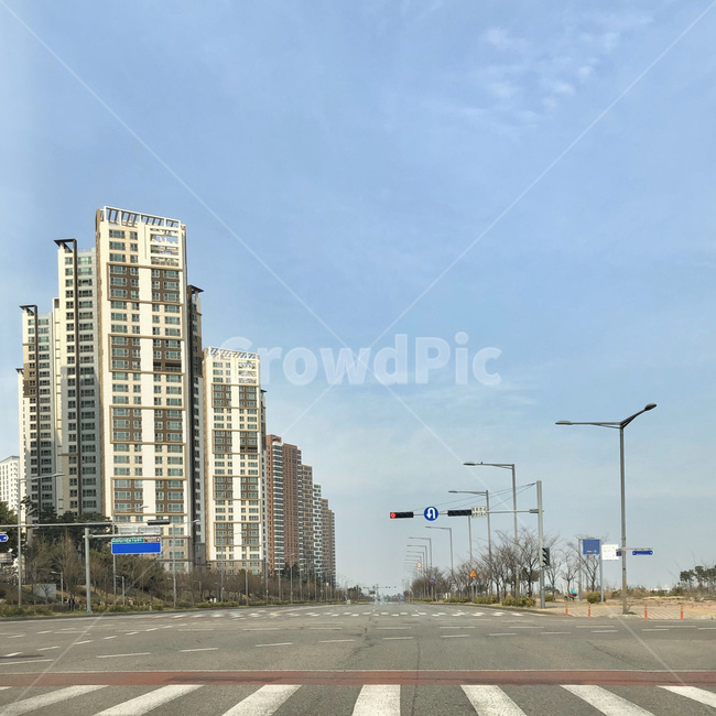 신호등,도로,아스팔트,풍경,road