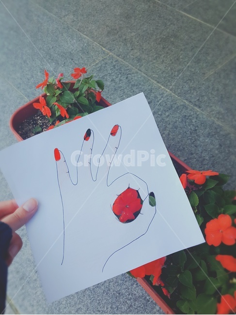 꽃,손모양,종이아트,ok,빨간,hand