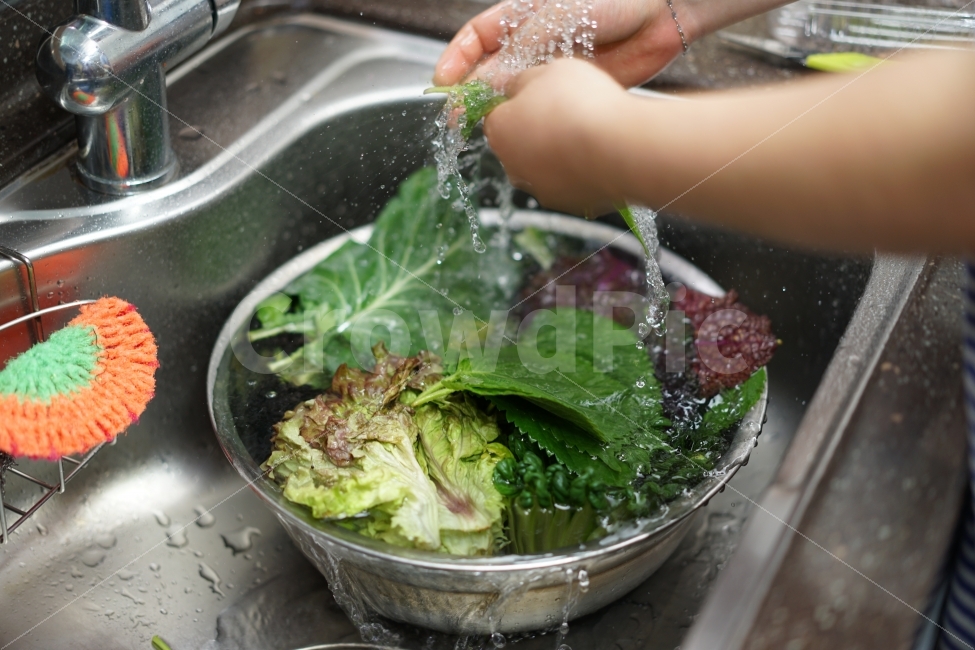 야채,물,살림,요리,상추,깻잎,쌈,겨자채,양푼,푸드,요리사,쉐프,솜씨,손,일상,비타민,사람,인물,인간,human,person,신체일부,몸,body,음식,식재료,요리,food,cook,meal,dishes,food reserves,채소,야채,vegetables